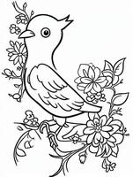 cute Bird for kids coloring page photo