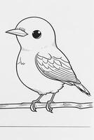 cute Bird for kids coloring page photo