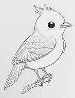 cute Bird for kids coloring page photo