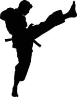 ai generado silueta tae kwon hacer o kárate patada lleno cuerpo negro color solamente vector