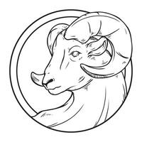 goat qurbani and traditional motifs illustration line art vector
