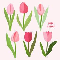 Set with tulips flowers. Spring plants. Pink, burgundy, green. For design of postcards, patterns, etc., notebooks. vector