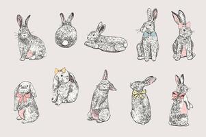 Easter rabbit vector illustrations set.