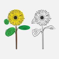 girasol dibujo bosquejo vector