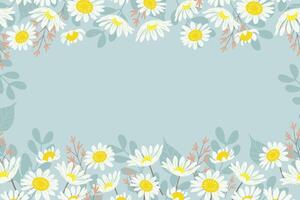 Flower and leaf backgrounds border frame white daisy cornflower meadows design. Vector illustration. Spring summer background.