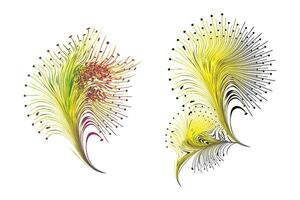 Decorative zen tangle feather boho style colorful for tattoo. vector
