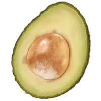 Half of Avocado Illustration png