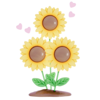 Earth day sunflower on a transparent background , 3D Rendering png
