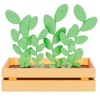 Earth day Plant, young seedlings on a transparent background , 3D Rendering png