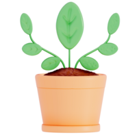 Earth day Plant, young seedlings on a transparent background , 3D Rendering png