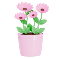 Earth day Plants and Flowers on a transparent background , 3D Rendering png