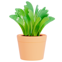Earth day Plant on a transparent background , 3D Rendering png
