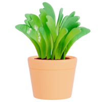 Terre journée plante sur une transparent Contexte , 3d le rendu png