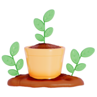 Earth day Plant, young seedlings on a transparent background , 3D Rendering png