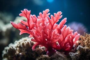 AI Generated Underwater beautiful colorful dancing reef Anemone group coral tropical animal Anemonefish nature salt water fish tank aquarium. Ecology snorkel diving ecosystem environmental save planet photo