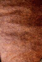Abstract Background Texture Rock Sand Paper Brown Gold photo
