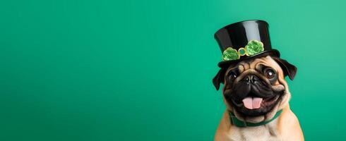 AI generated St. Patrick's Day. Pug dog in a leprechaun hat on a green background. St Patricks day pug puppy dog sitting down with black top hat. Copy space. photo