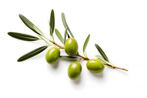 AI generated Olive branch with green olives photo