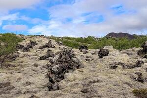 View of the lava fields of a past volcanic eruption in Iceland. photo