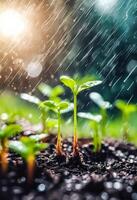 AI generated Watering plants and vegetables in the field, drip irrigation, close-up photo