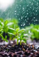 AI generated Watering plants and vegetables in the field, drip irrigation, close-up photo