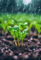 AI generated Watering plants and vegetables in the field, drip irrigation, close-up photo