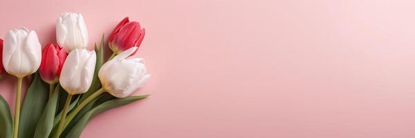 AI generated Elegant red and white tulips on pink background, perfect for spring, floral, and Mother's Day themes photo