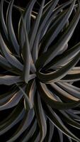 Vertical video - dark abstract metallic texture motion background with a strange futuristic robotic plant and metal leaves gently swaying. Full HD and looping animation.