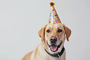 ai generado un perro vistiendo un cumpleaños sombrero con generativo ai foto