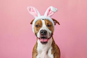 AI generated a dog wearing a bunny headband with generative ai photo