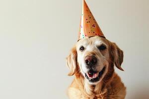 ai generado un perro vistiendo un cumpleaños sombrero con generativo ai foto