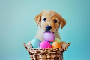 AI generated a cute puppy with colorful pastel easter eggs basket with generative ai photo