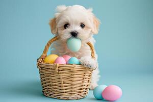 AI generated a cute puppy with colorful pastel easter eggs basket with generative ai photo