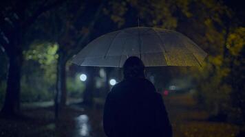 enttäuscht weiblich Person im elend Stimmung halten Regenschirm video