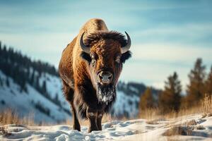 AI generated bull standing in the snow weather bokeh style background with Generative AI photo