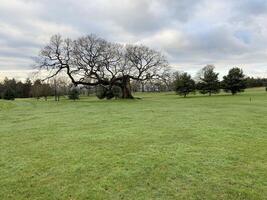 A view of the Cheshire Countryside at Carden Park photo