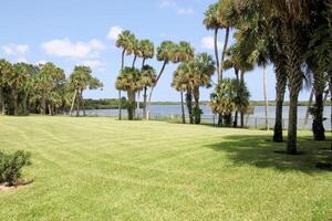 A view of the Florida Eveglades photo