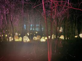 nortewich en Cheshire en el Reino Unido en 8 diciembre 2023. un ver de luces en el bosque a blakemere pueblo . foto