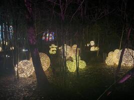 Northwich in Cheshire in the UK on 8 December 2023. A view of Lights in the woods at Blakemere Village . photo