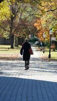 One student walking on the campus road with the warm sunlight photo