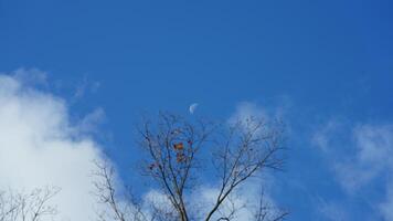 The blue sky view with the white moon and the clear blue sky as background photo