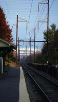 The railway view with the track and the colorful woods as background in the autumn morning photo