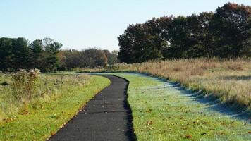 The meadow view covered by the frost in the winter morning photo