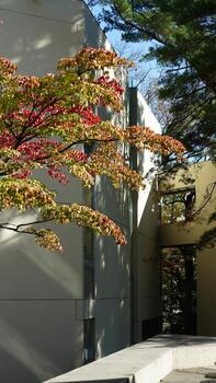el Universidad edificios ver con calentar luz de sol en eso en el instalaciones foto