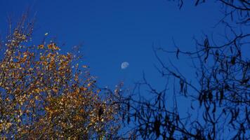 The blue sky view with the white moon and the clear blue sky as background photo