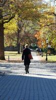 One student walking on the campus road with the warm sunlight photo
