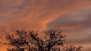 The beautiful sunset view with the colorful clouds and sky as background photo