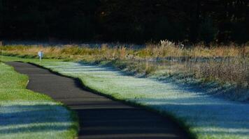 The meadow view covered by the frost in the winter morning photo