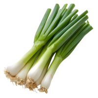 AI generated leek isolated on transparent background ,fresh chives ,generative ai png