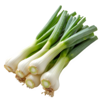 AI generated leek isolated on transparent background ,fresh chives ,generative ai png